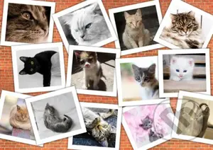 Cats - puzzle z kategorie Umělecké