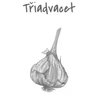 Třiadvacet - Štěpán Dominik