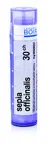 Boiron SEPIA OFFICINALIS CH30 granule 4 g