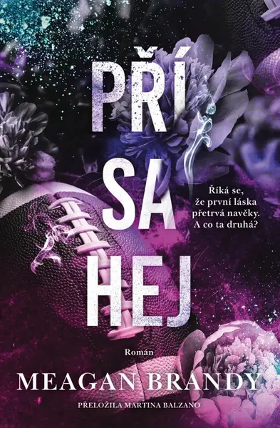 Přísahej (poškozená) - Meagan Brandy