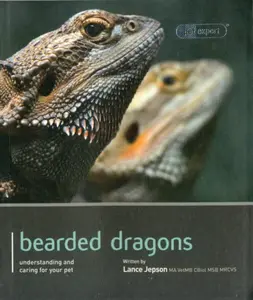 Bearded Dragon - Pet Expert - Lance Jepson