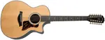 Taylor 454ce Next Generation