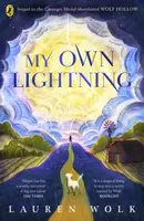 My Own Lightning - Wolk Lauren