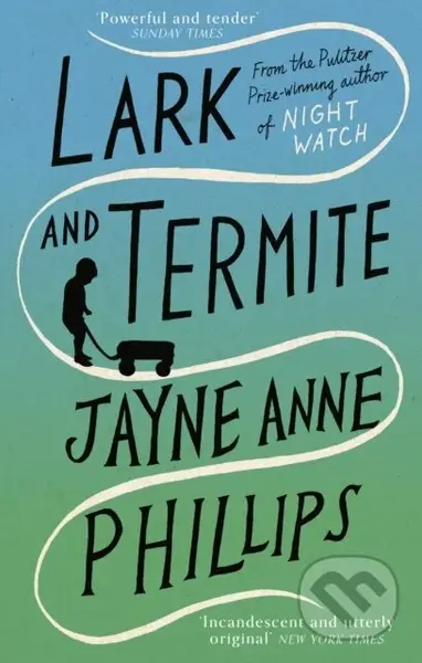 Lark and Termite - Jayne Anne Phillips - kniha z kategorie Společenská beletrie
