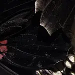 Signály – Múzeum motýlích krídiel