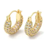 Clear Cubic Zirconia Teardrop Hoop Earrings