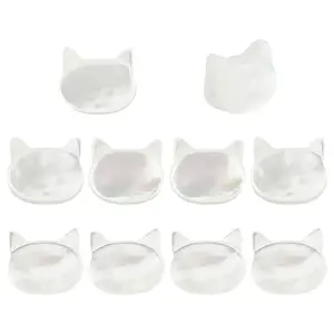 10Pcs Natural White Shell Beads