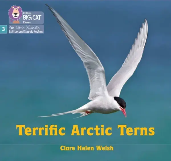 Terrific Arctic Terns - Clare Helen Welsh