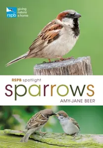 RSPB Spotlight Sparrows - Amy-Jane Beer