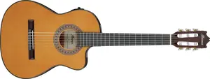 Ibanez GA5TCE3Q Amber