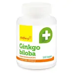 WOLFBERRY Ginkgo biloba 120 kapslí