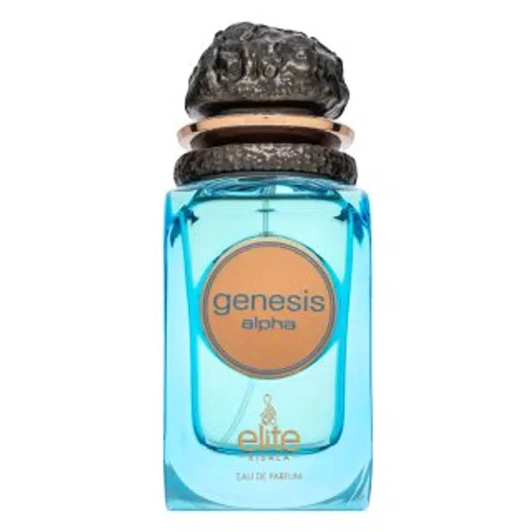 Risala Elite Genesis Alpha parfémovaná voda pro muže 100 ml