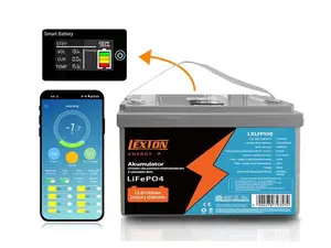 Baterie LiFePO4 12,8V 100Ah LEXTON LXLFP100 s BMS