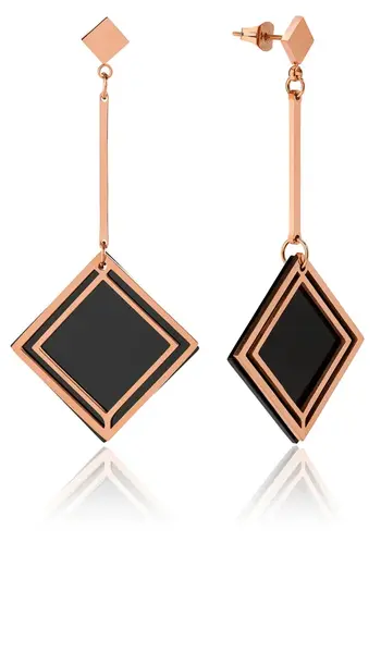 Troli Elegantní bicolor náušnice z oceli