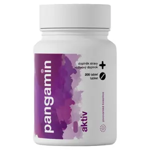 PANGAMIN Aktiv 200 tablet