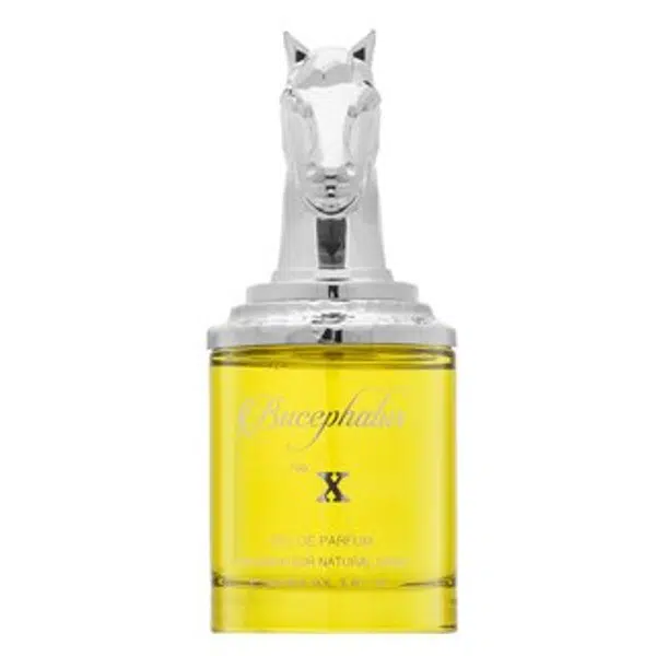 Armaf Bucephalus No. X parfémovaná voda pre mužov 100 ml