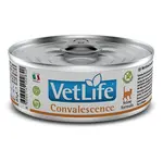 VET LIFE Natural Convalescencia konzerva pre mačky 85 g