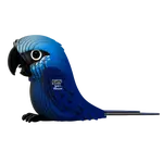 EUGY Papoušek Ara 3D kartonová skládačka