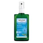 WELEDA Šalviový dezodorant