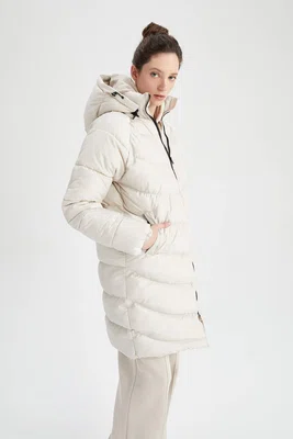 DEFACTO Slim Fit Coat