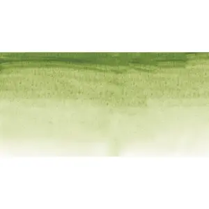 Akvarelová barva Sennelier 1/2 – 213 Green Earth