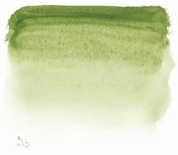 Akvarelová barva Sennelier 1/2 – 213 Green Earth