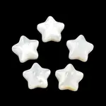Natural White Shell Beads