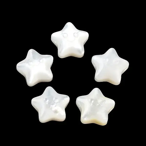 Natural White Shell Beads