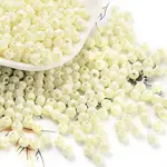 Baking Paint Glass Seed Beads