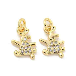 Brass Micro Pave Clear Cubic Zirconia Charms