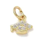 Brass Micro Pave Clear Cubic Zirconia Charms