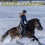 Krádež diamantov - Charlotte Link - kniha z kategorie Beletrie pro děti