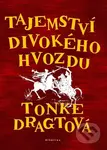 Tajemství Divokého hvozdu - Tonke Dragt - kniha z kategorie Fantasy