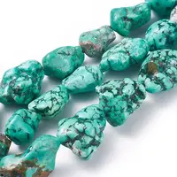 Natural Magnesite Beads Strands