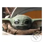 Plagát 3D - The Mandalorian, Grogu