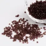 12/0 Glass Seed Beads