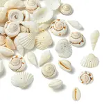 48Pcs 4 Styles Natural Shell Beads