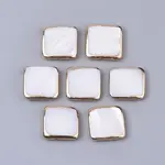 Edge Golden Plated Freshwater Shell Beads