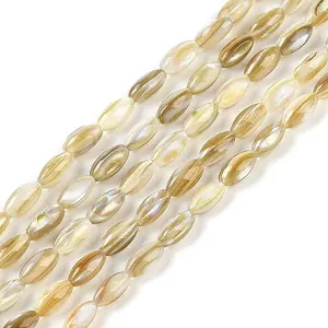 Natural Freshwater Shell Beads Strands