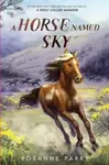 A Horse Named Sky - Parry Rosanne - kniha z kategorie Pro děti