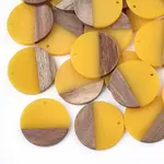 Resin & Walnut Wood Pendants