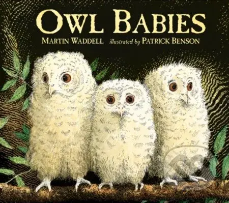 Owl Babies 25Th Anniversary Edition - Martin Waddell - kniha z kategorie Pro děti