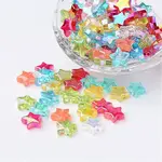 Eco-Friendly Transparent Acrylic Beads