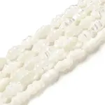 Natural Trochus Shell Beads Strands