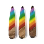 Pride Rainbow Theme Resin & Walnut Wood Pendants
