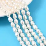 Natural Cultured Freshwater Pearl Beads Strands