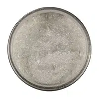 Prášková slída / Mica powder Master 50g