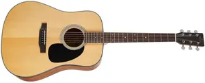 Sigma Guitars SDM-STE