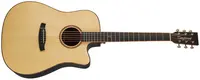 Tanglewood TJ5CE