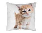 Dekoračný vankúšik Ryšavé mačiatko, 25x25 cm%